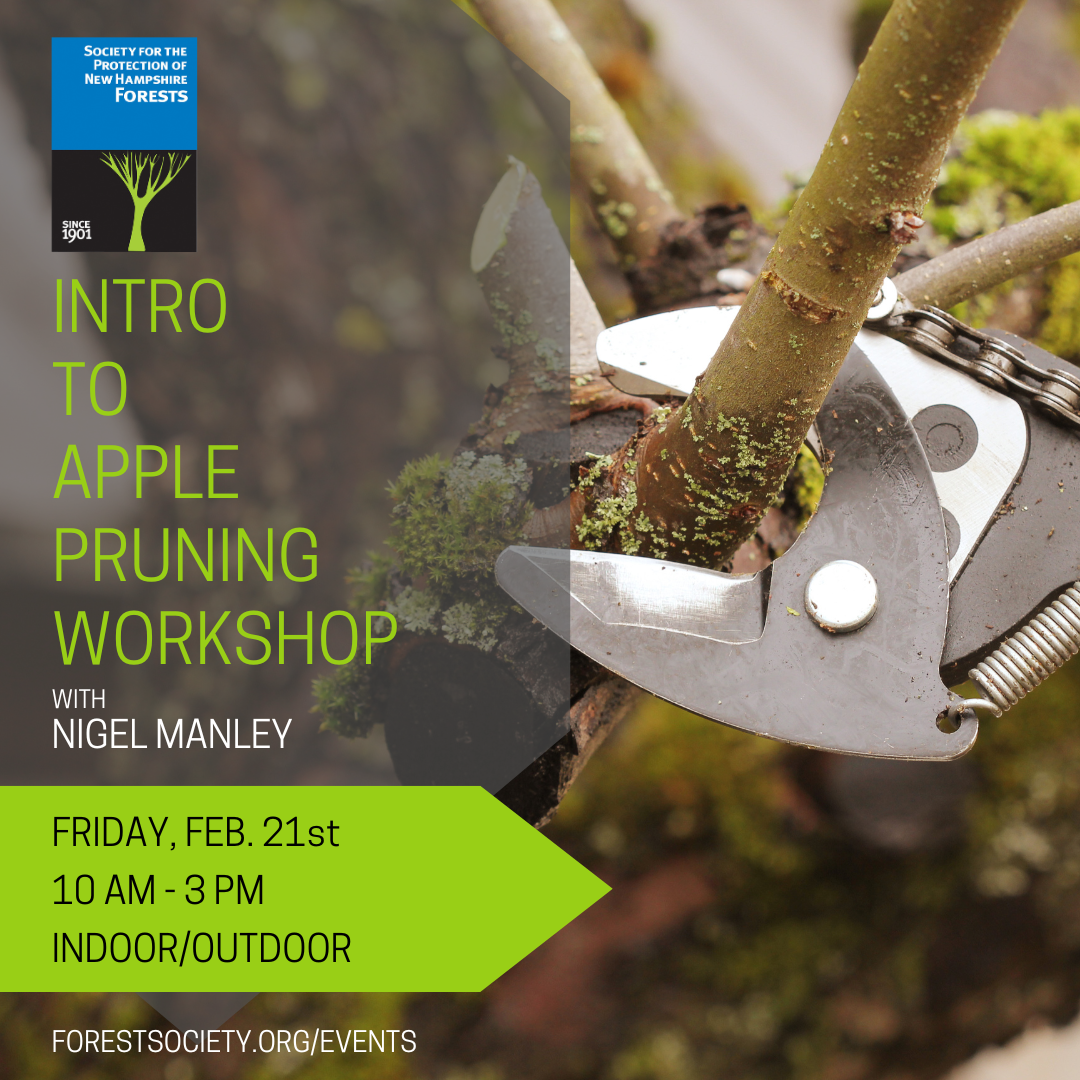 Apple Pruning Workshop information 2025