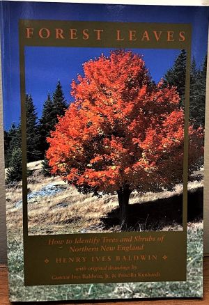 The cover of Forest Leaves shows a bright orange tree.