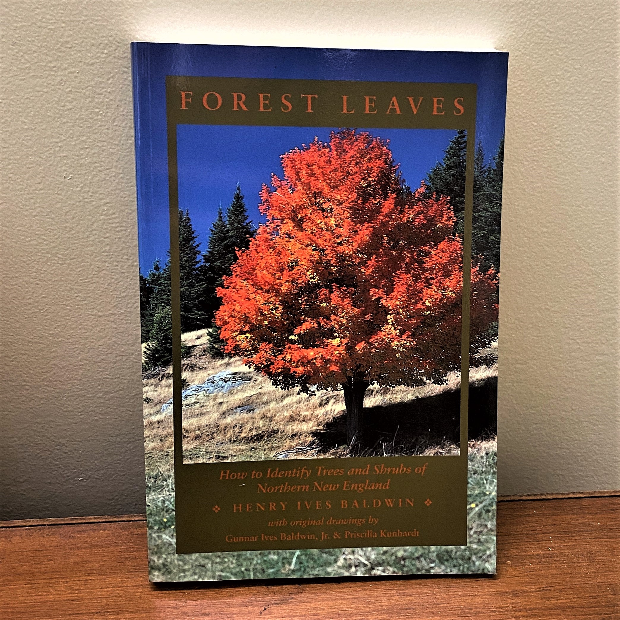 The cover of Forest Leaves shows a bright orange tree.