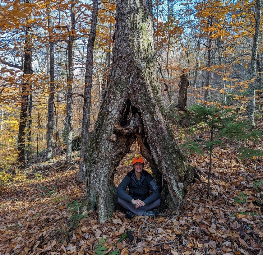 Jessica Bouchard poses inside a tree opening.