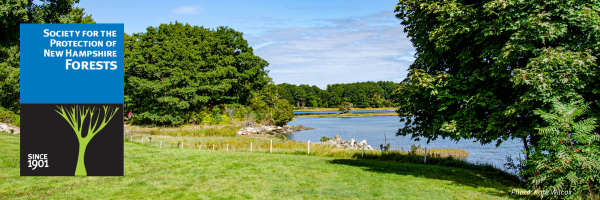 Creek Farm's views to Sagamore Creek.