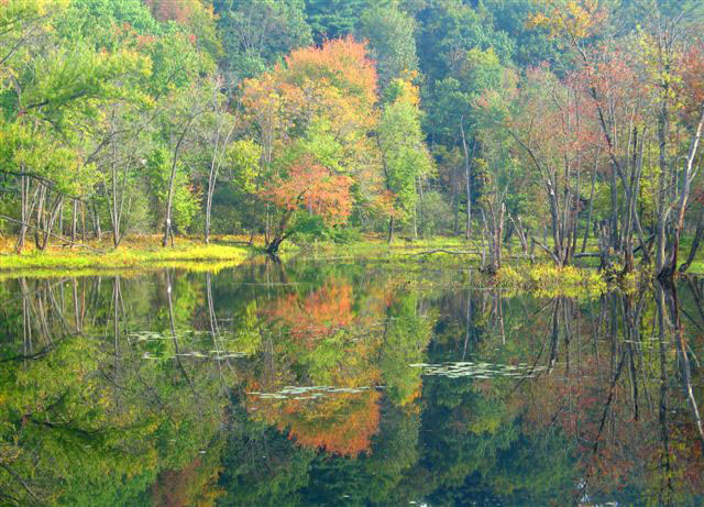 Merrimack River in fall.