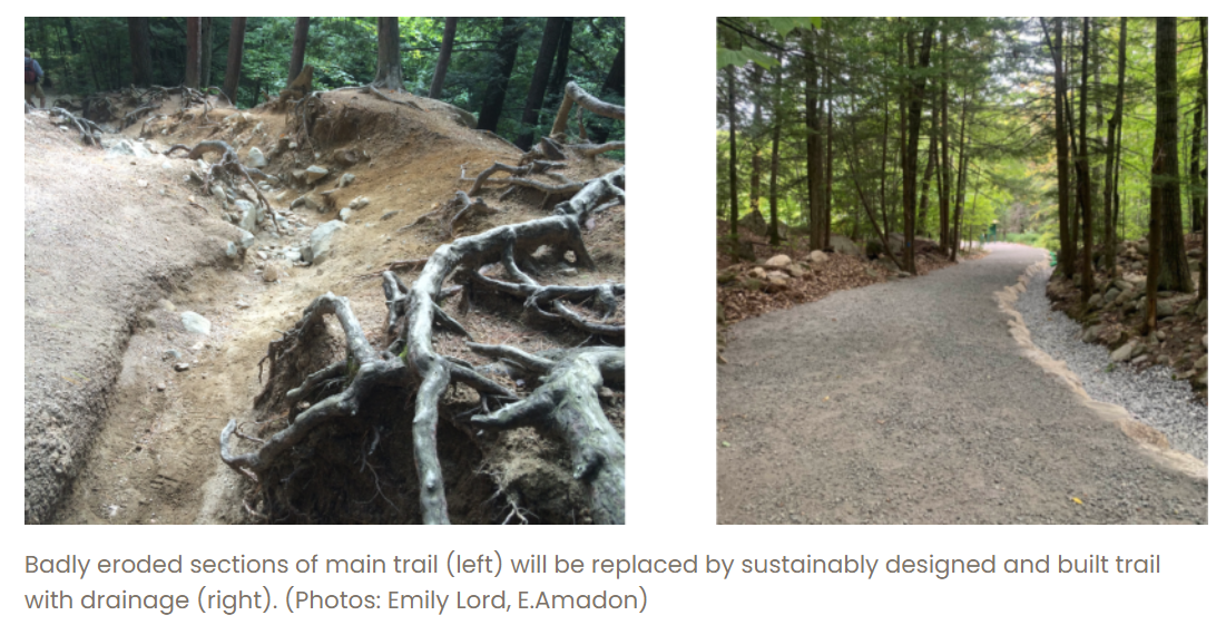Side by side views of eroded trails vs sustainably built tra