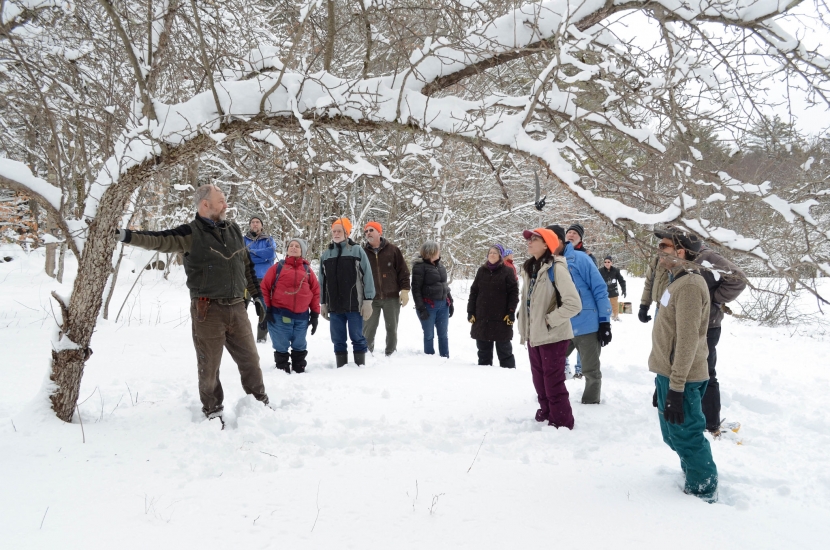 A group learns about tree pruning in the winter.
