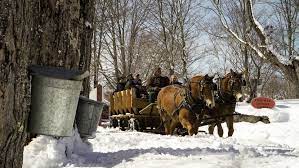 A horse-drawn wagon goes by a sugar bucket.